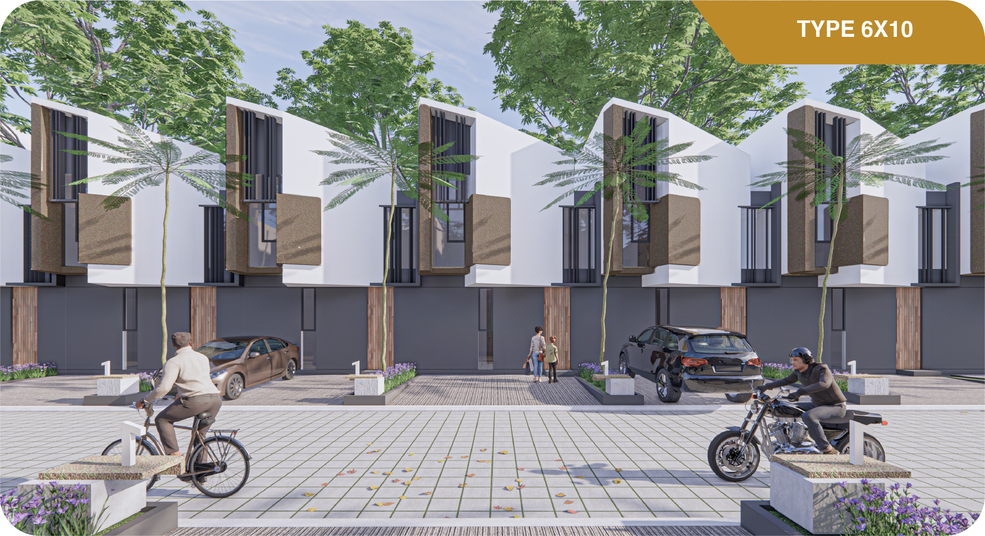 Asset 6